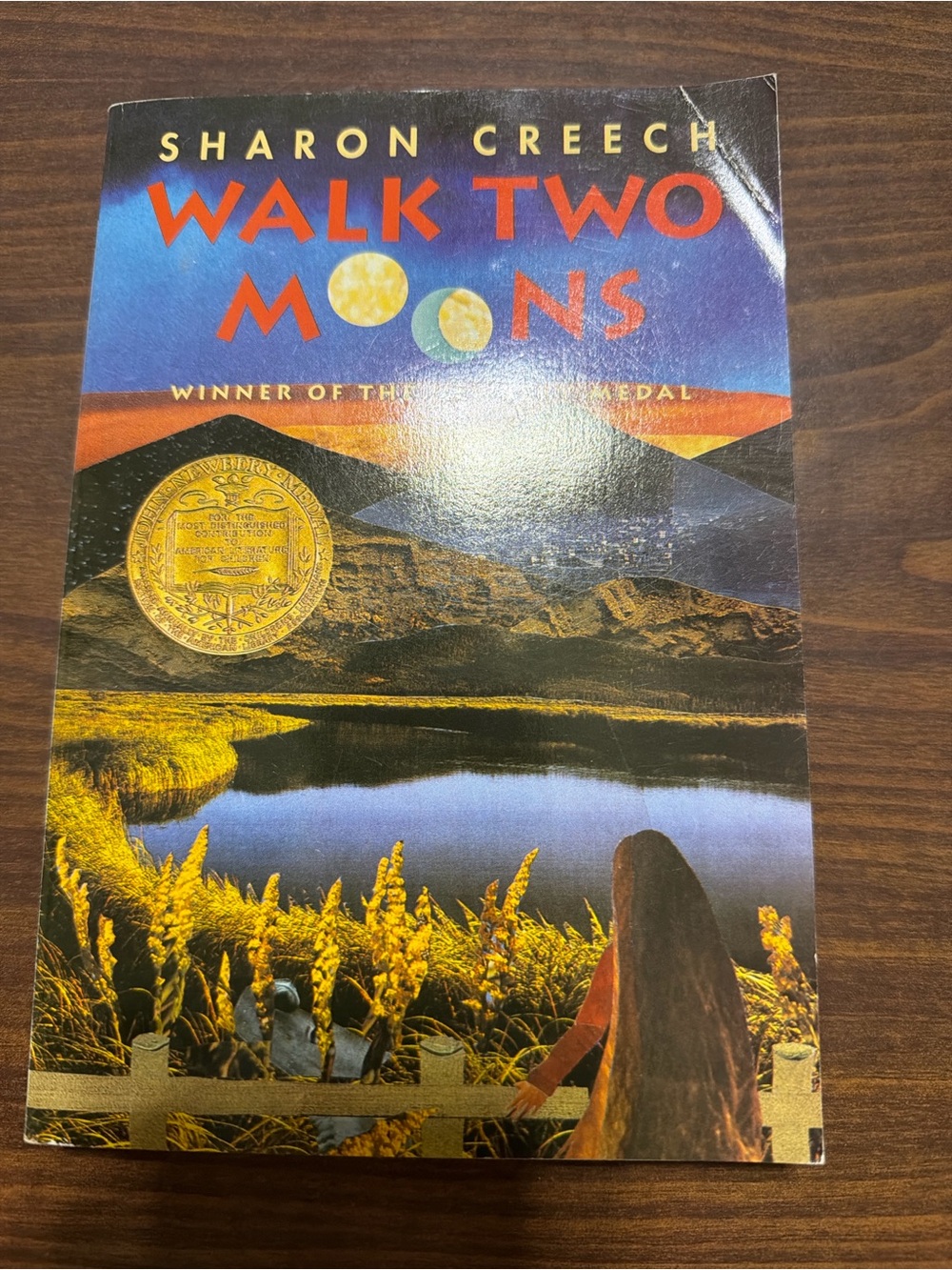 Walk Two Moons Wall Art Print - Blue, Gold, Yellow